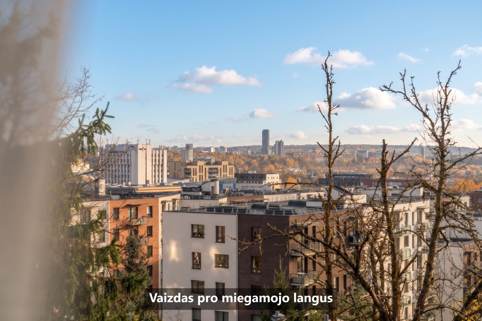 Namas su 8,31 a sklypu Žvėryne, Paribio g. 31