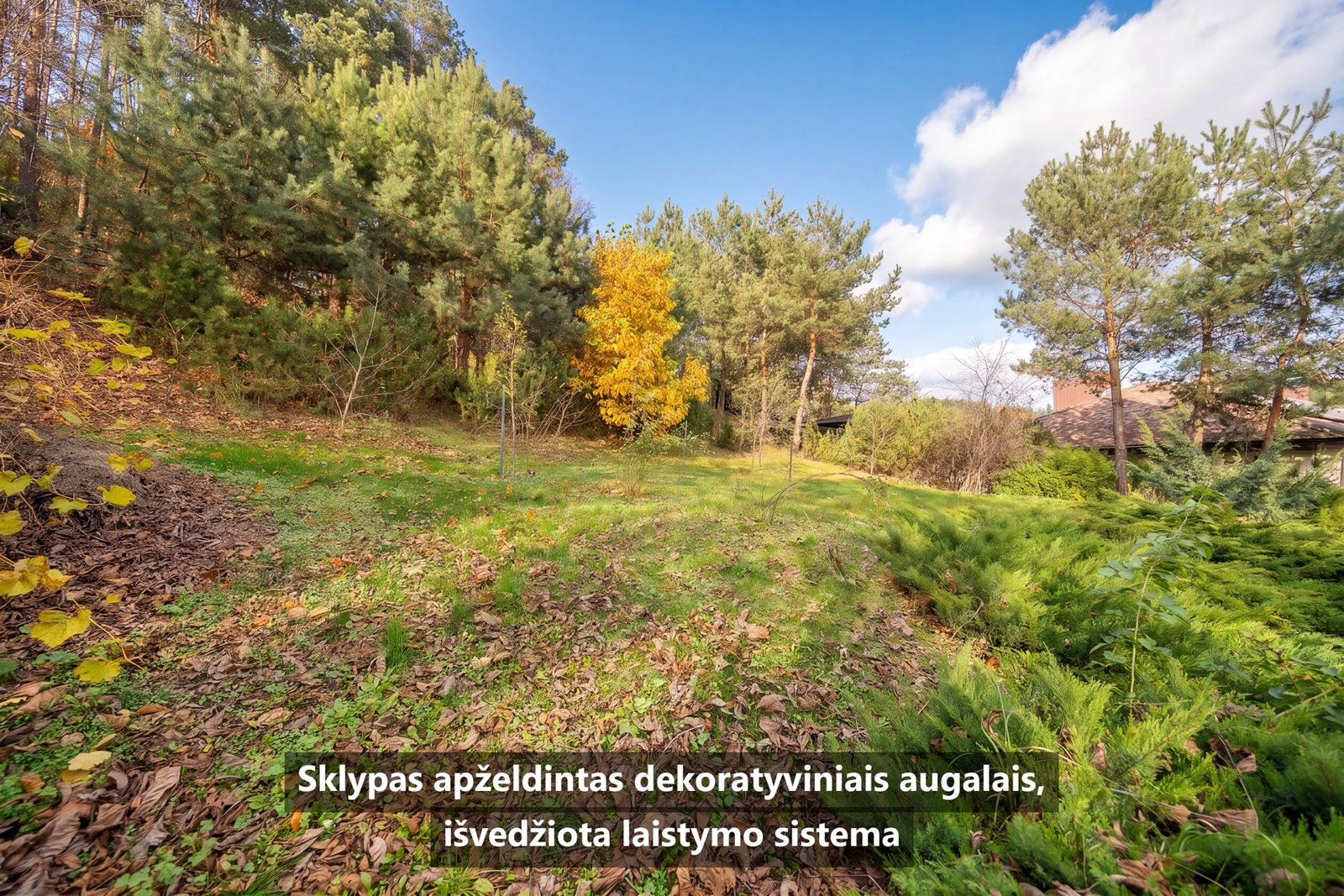 Namas su 8,31 a sklypu Žvėryne, Paribio g. 36